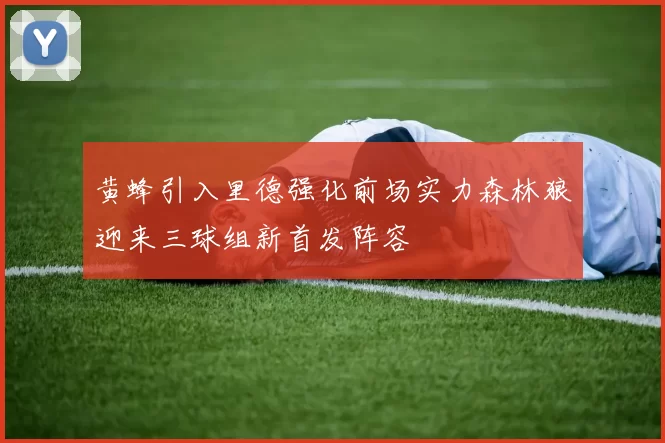 黄蜂引入里德强化前场实力森林狼迎来三球组新首发阵容