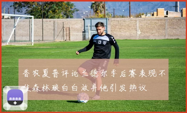 香农夏普评论兰德尔季后赛表现不佳森林狼白白放弃他引发热议