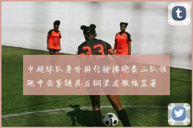 中超球队身价排行榜揭晓泰山队领跑申花紧随其后铜梁龙涨幅显著
